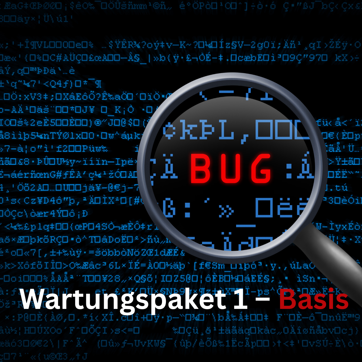 Wartungspaket 1 – Basis / Systemprüfung & Fehlerbehebung