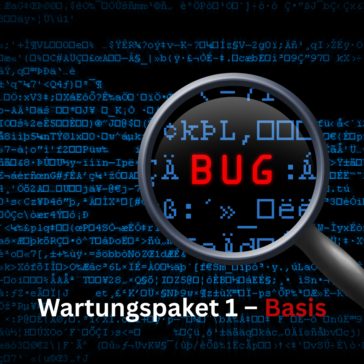 Wartungspaket 1 – Basis / Systemprüfung & Fehlerbehebung
