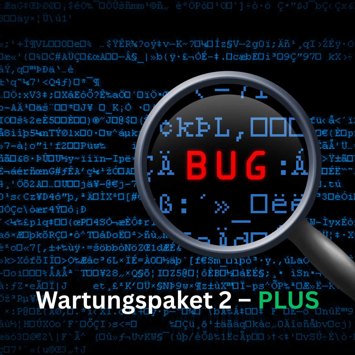 Wartungspaket 2 – Erweiterte Wartung / Updates & Systempflege