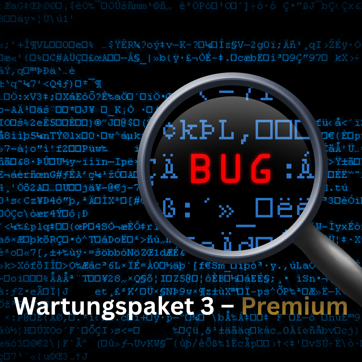 Wartungspaket 3 – Premium / Updates, neue Funktionen & Anpassungen